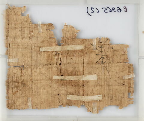 Papyrus, image 2/2