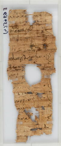 Papyrus, image 1/1