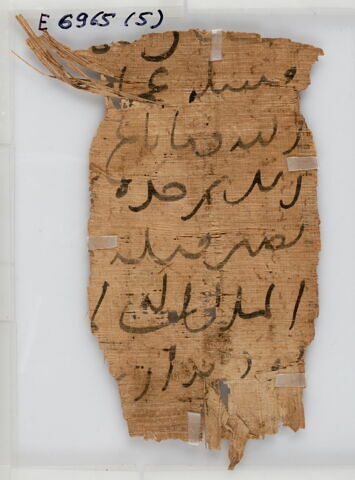 Papyrus, image 1/1