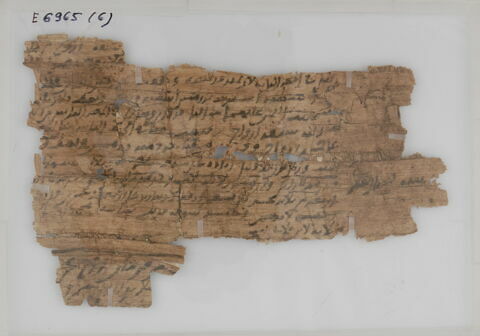 Papyrus, image 1/1