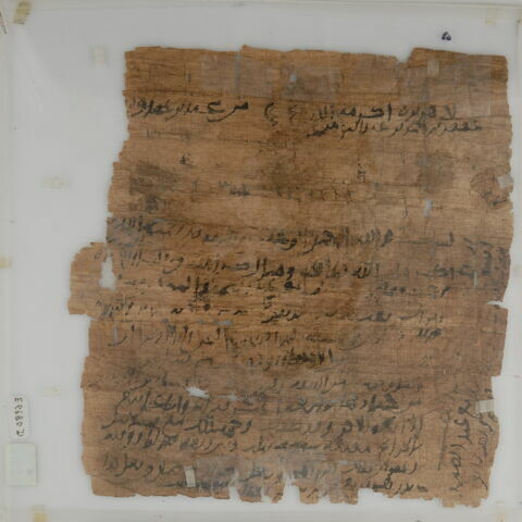 Papyrus, image 1/2