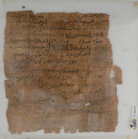 Papyrus, image 2/2