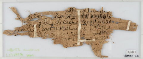Papyrus, image 2/2