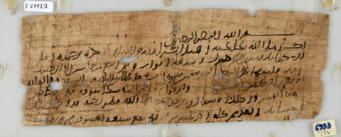Papyrus, image 1/1
