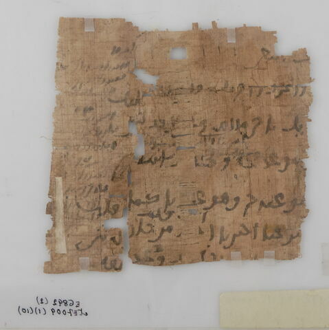 Papyrus, image 1/2