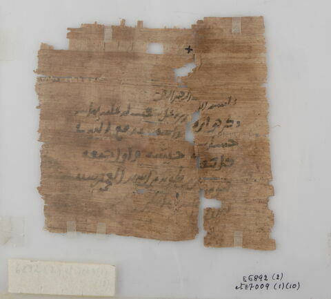 Papyrus, image 2/2