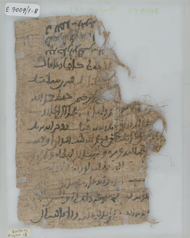 Papyrus, image 1/2