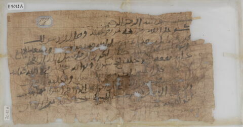 Papyrus, image 1/1