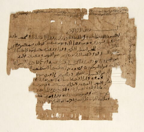 Papyrus, image 1/1