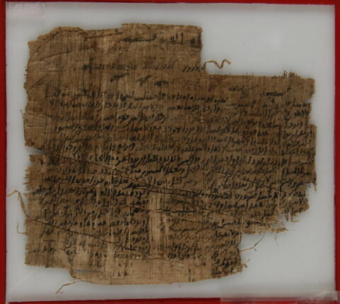 Papyrus, image 1/2