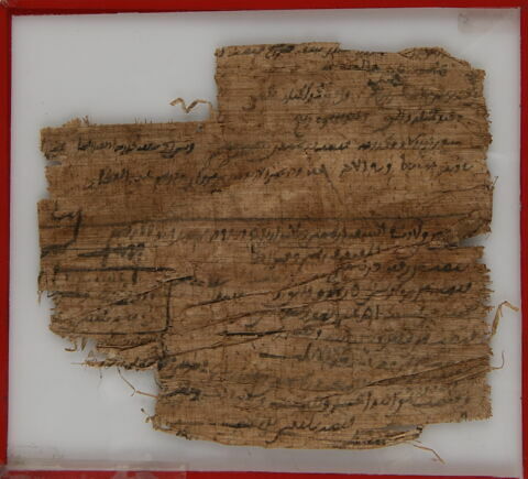 Papyrus, image 2/2