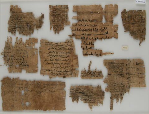 Papyrus, image 1/2