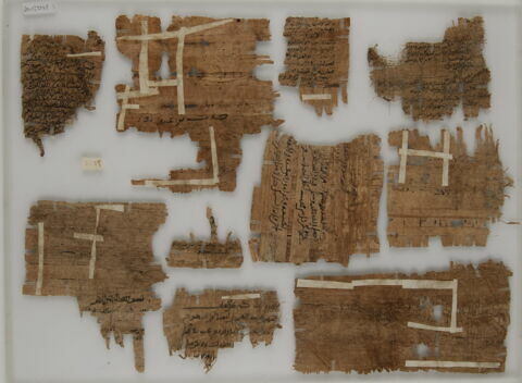 Papyrus, image 2/2