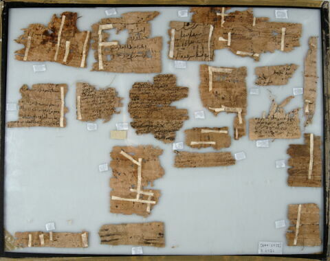 Papyrus, image 2/2