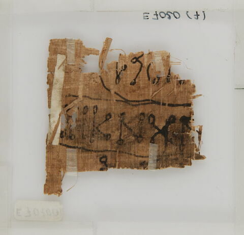 Papyrus, image 2/2