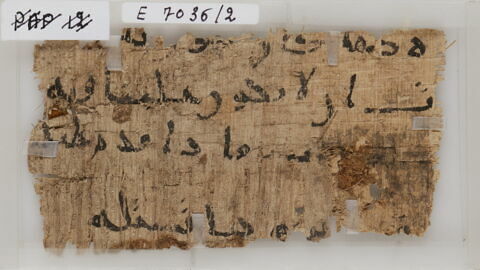 Papyrus, image 1/1