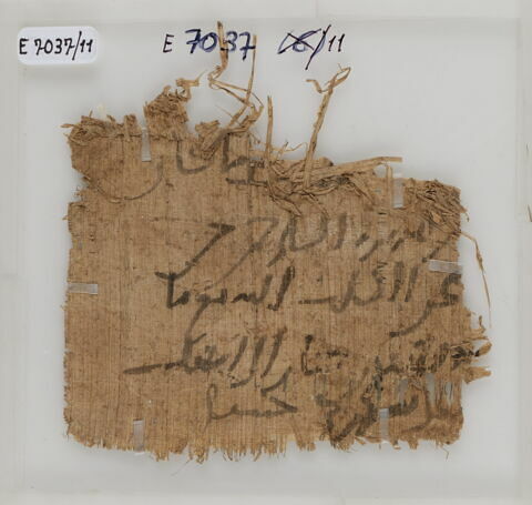 Papyrus, image 2/2