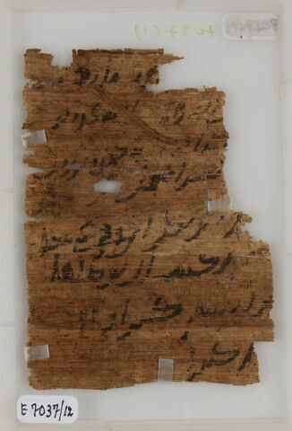 Papyrus, image 1/2