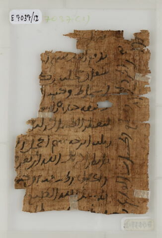 Papyrus, image 2/2