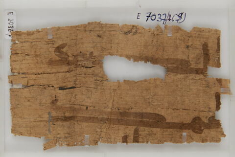 Papyrus, image 1/1