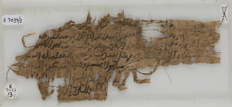 Papyrus, image 1/1