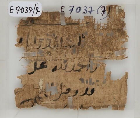 Papyrus, image 1/1