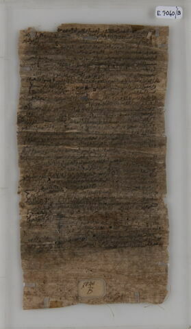 Papyrus, image 1/1