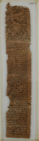 Papyrus, image 1/1