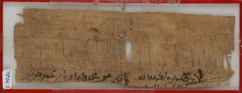 Papyrus, image 1/1