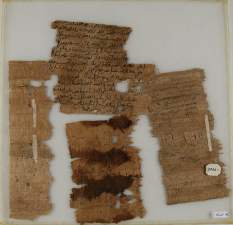 Papyrus, image 1/2