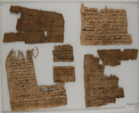 Papyrus, image 1/2