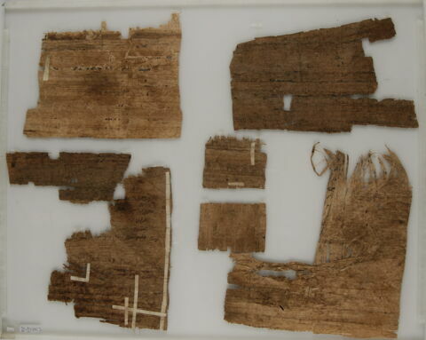 Papyrus, image 2/2