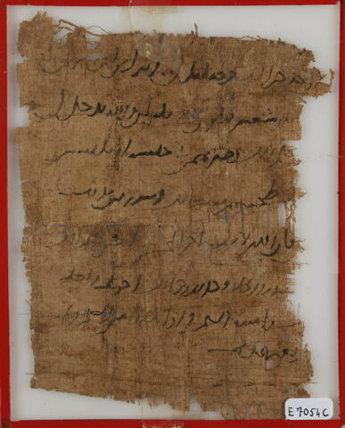 Papyrus, image 1/1