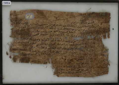 Papyrus, image 1/1