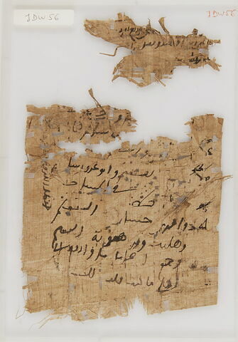 Papyrus, image 1/1
