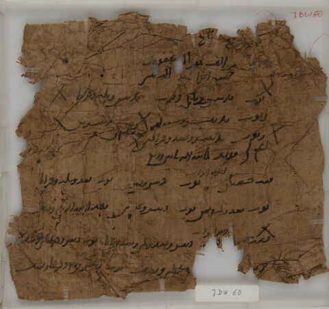 Papyrus, image 1/2