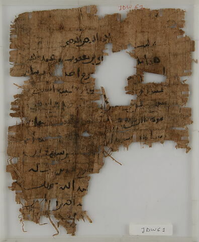 Papyrus, image 1/1