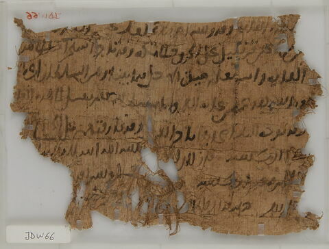 Papyrus, image 1/1
