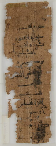 Papyrus, image 1/2