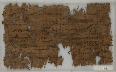 Papyrus, image 1/1