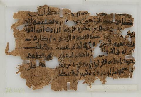 Papyrus, image 2/2