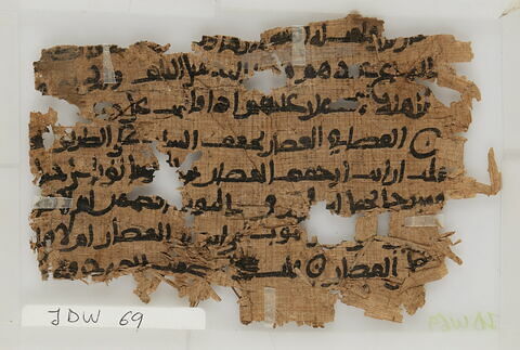 Papyrus, image 1/2