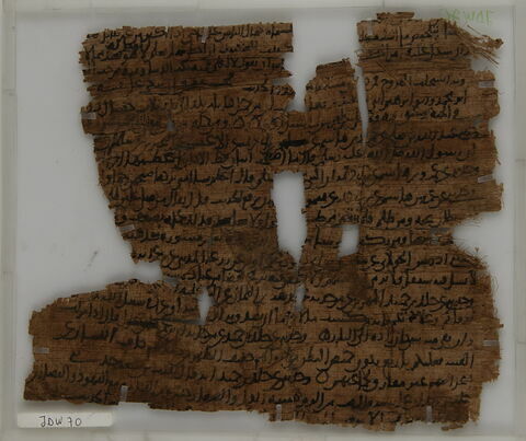 Papyrus, image 1/2