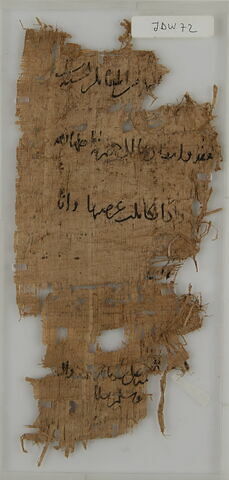 Papyrus, image 1/1