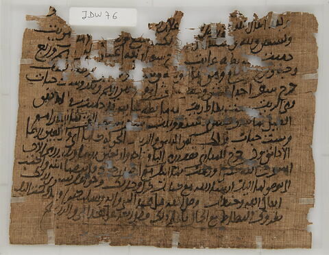 Papyrus, image 1/2