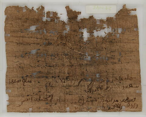 Papyrus, image 2/2