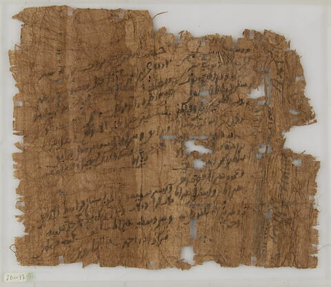 Papyrus, image 1/2