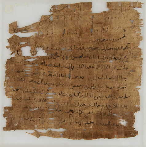 Papyrus, image 1/1