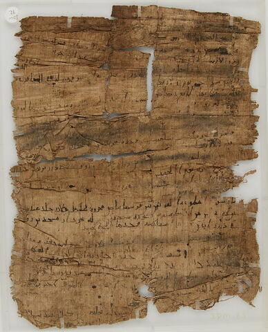 Papyrus, image 1/2