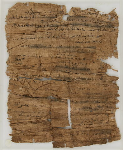 Papyrus, image 2/2